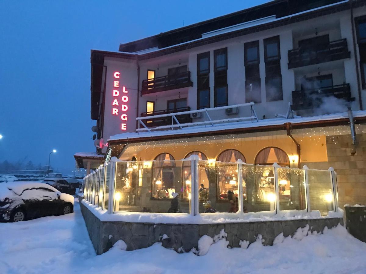 בנסקו Ski Zone At Gondola, Perfect One Bdrm, Fast Wifi, Netflix, Quiet, Warm מראה חיצוני תמונה